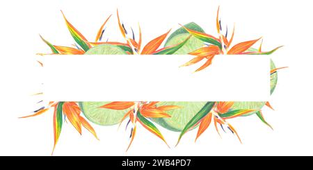Aquarell isolierte Illustration von Strelitzia und Blättern, Limette, tropische Blume Komposition auf einem weißen Hintergrund Stockfoto