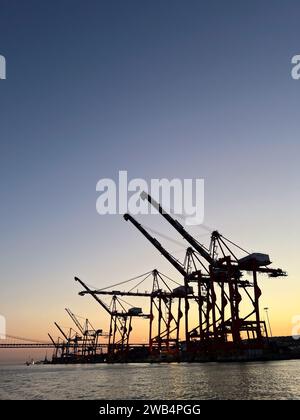 Kransilhouetten im Hafen von Lissabon bei Sonnenuntergang Stockfoto