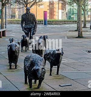 Sheep on the Road, eine Bronzeskulptur von Deborah Brown am Donegall Quay, Belfast, Nordirland. Stockfoto