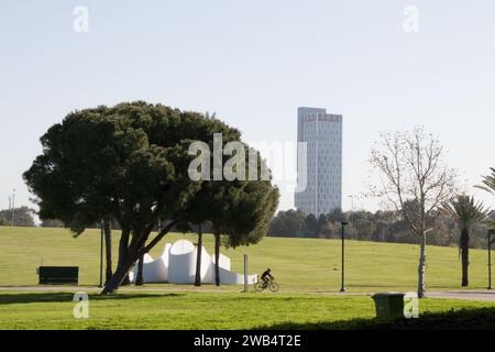 Ein großer Park im Stadtzentrum mit breiten grünen Rasenflächen, Fahrrad-, Wander- und Joggingwegen. Im Hintergrund befinden sich die Bürotürme der Stadt. Stockfoto