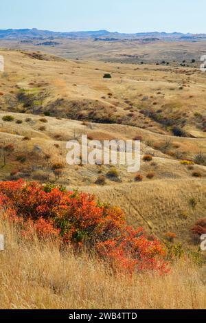 Prairie Grünland, Little Bighorn Battlefield National Monument, Montana Stockfoto