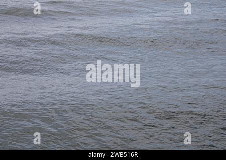 Zwei Surfer im Meer, einer hält ein Surfbrett unter dem Arm und genießt einen Tag mit Wassersport Stockfoto