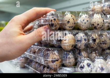 Wachteleier im Ladenregal. Ein Kunde nimmt eine Verpackung Wachteleier aus einem Supermarkt-Kühlschrank. Behälter mit Wachteleiern in einem Kühlraum. Stockfoto