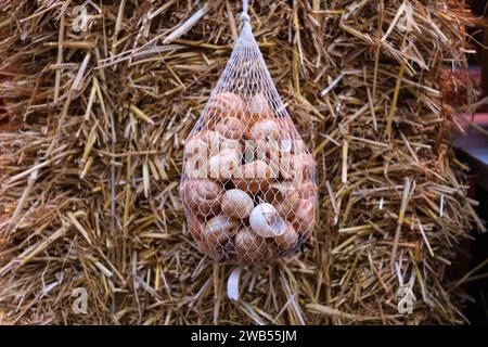Tasche mit frischen Schnecken, zum Kochen, typisch französisch. Stockfoto