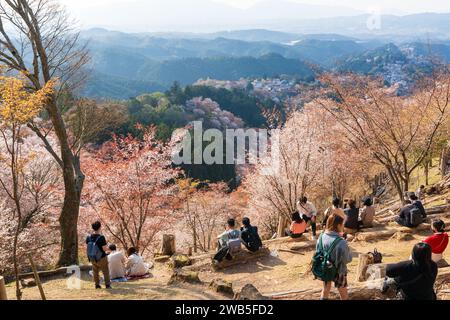 Kirschblüte in voller Blüte am Mount Yoshino, Yoshino-Kumano-Nationalpark. Bezirk Yoshino, Präfektur Nara, Japan. Stockfoto