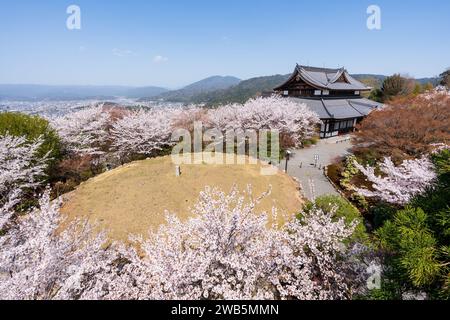 Kirschblüten im japanischen Zen-Garten. Shogunzuka-Hügel und Seiryuden-Shorenin-Tempel. Kyoto, Japan. Stockfoto