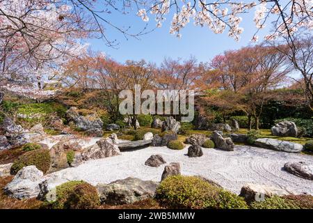 Kirschblüten im japanischen Zen-Garten. Shogunzuka-Hügel und Seiryuden-Shorenin-Tempel. Kyoto, Japan. Stockfoto