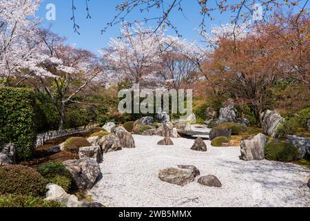 Kirschblüten im japanischen Zen-Garten. Shogunzuka-Hügel und Seiryuden-Shorenin-Tempel. Kyoto, Japan. Stockfoto