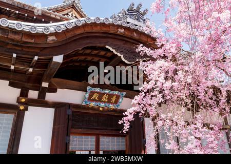 Shorenin Seiryuden Tempel mit Kirschblüten. Kyoto, Japan. Japanische Übersetzung : Seiryuden-Tempel. Stockfoto