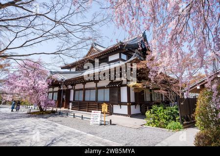 Kirschblüten im japanischen Zen-Garten. Shogunzuka-Hügel und Seiryuden-Shorenin-Tempel. Kyoto, Japan. Stockfoto