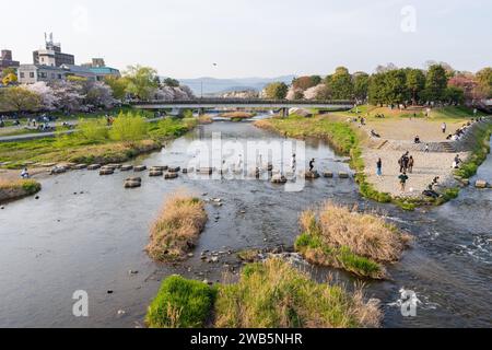 Kirschblüten entlang des Flusses Kamo (Kamogawa). Kyoto, Japan. Stockfoto