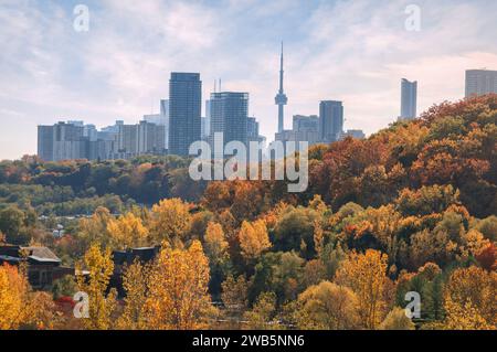 Herbstblick vom Hügel im Weston Family Quarry Garden mit trüben Silhouetten von Wolkenkratzern und CN Tower in Downtown Toronto im Hintergrund und Stockfoto