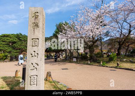 Kyoto, Japan - 27. März 2023 : Menschenmassen kommen zum Kirschblütenfest im Maruyama Park neben dem Yasaka-Schrein im Bezirk Higashiyama. Stockfoto