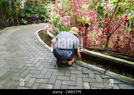 Man füttert Fische im Graben des Erholungsparks. Stockfoto