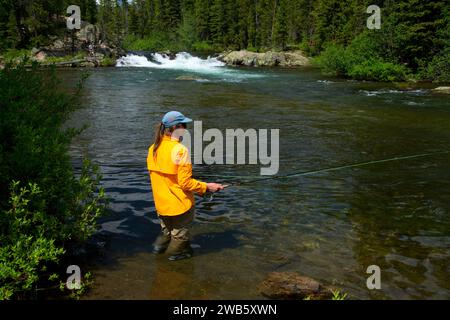 Fliegenfischen am Clarks Fork of the Yellowstone im Clarks Fork Picnic Area, Gallatin National Forest, Beartooth Scenic Byway, Montana Stockfoto