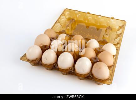 Hühnereier an Wochentagen. Eier mit Hühnermist. Stockfoto