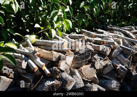 Brennholz aus gewürzter Eiche im Hinterhof in Südkalifornien Stockfoto