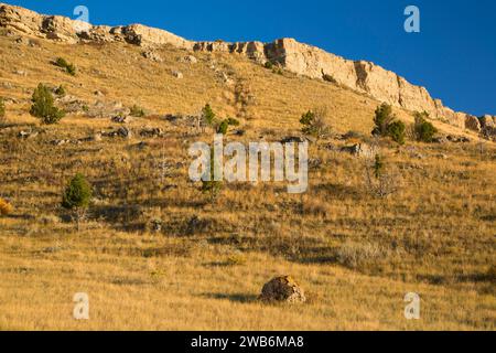 Madison Buffalo Jump, Madison Buffalo Jump State Park, Montana Stockfoto