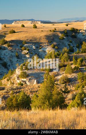 Grünland-Blick vom Trail, Madison Buffalo Jump State Park, Montana Stockfoto