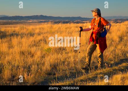 Grünland-Blick vom Trail, Madison Buffalo Jump State Park, Montana Stockfoto