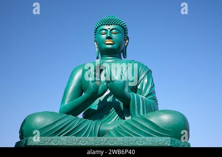 Der große Buddha von Nagoya führte die Dharmachakra Mudra am Toganji-Tempel durch. Nagoya. Japan Stockfoto