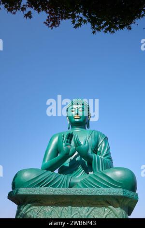 Der große Buddha von Nagoya führte die Dharmachakra Mudra am Toganji-Tempel durch. Nagoya. Japan Stockfoto