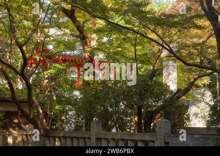 Der Blick auf den Shoro MON (Glockenturm) durch das dicke Grün des Toganji-Tempels. Nagoya. Japan Stockfoto