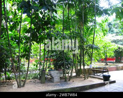 Zoo auf der Insel Langkavi, Malaysia Stockfoto