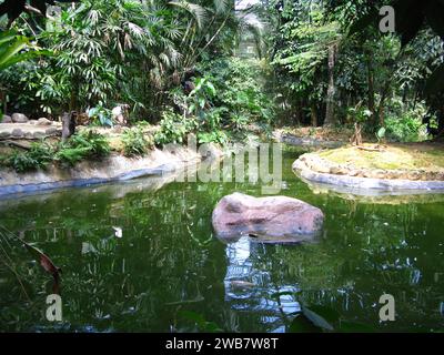 Zoo auf der Insel Langkavi in Malaysia Stockfoto