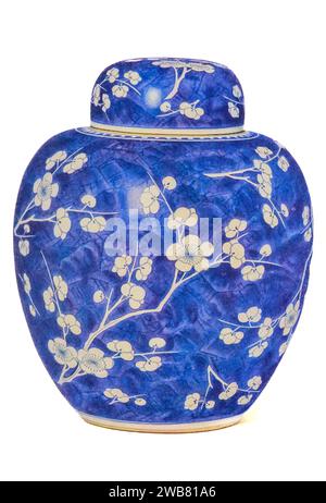 Vase und Abdeckung mit weißem Design auf blauem, rissigem Eis, K’ang Hsi-Periode. H 254 mm aus chinesischer Kunst : 100 farbige Platten, die Töpferwaren und Porzellan aller Epoche wiedergeben, Jacken, Lacke, Gemälde, Bronzen, Möbel, etc. von Hobson, R. L. (Robert Lockhart), 1872-1941 Erscheinungsdatum 1927 Publisher New York: the Macmillan Company Stockfoto