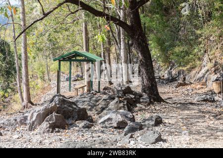 Bäume wachsen auf dem Weg der Burma Death Railway, Kanchanaburi, Thailand. Stockfoto