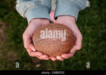 Nahaufnahme weiblicher Holder und brauner Kokos-exotischer Kokos. Richtige Ernährung vegane Lebensmittel vegetarische Ernährung gesunde Lebensweise Diät Konzept. Kokosnuss-Har Stockfoto