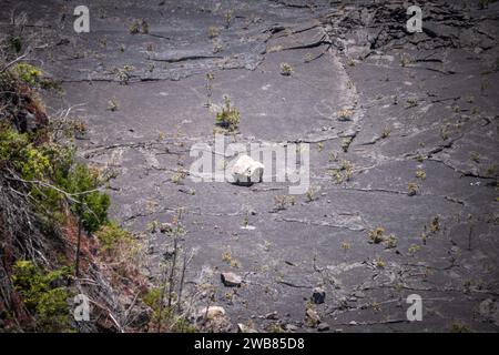 Big Island Hawaii, Vulcano-Nationalpark Stockfoto