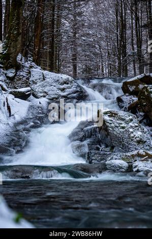 Szepit-Wasserfall am Hylaty-Fluss im Dorf Zatwarnica. Bieszczady Mountains, Polen. Stockfoto