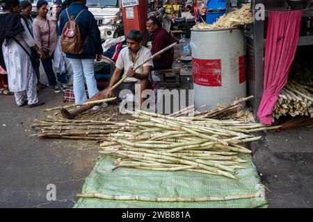 Mumbai, Maharashtra, Indien, Indianer schälen Zuckerrohr auf der Straße, nur Editorial. Stockfoto