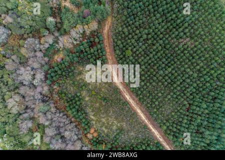 Luftdrohne Blick von oben auf einen unbefestigten Bergweg Stockfoto