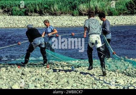 Lachsnetz auf dem Fluss Spey Speymouth, das Team, das das Wadennetz einzieht Stockfoto