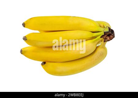 Gruppe reifer Bananen isoliert auf weißem Hintergrund Stockfoto