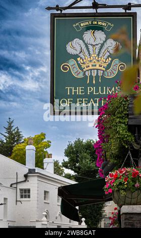 London, Greenwich - Plume von Federn - Schild außerhalb der traditionellen englischen Pub Stockfoto