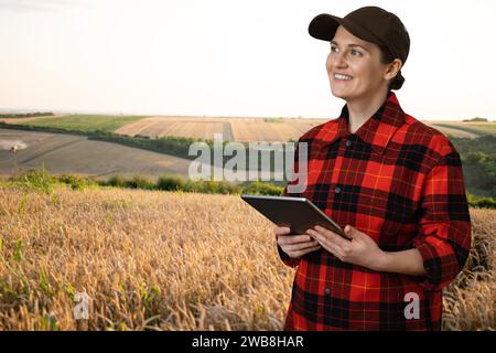 Eine Frau Bauer untersucht den Bereich der Getreide- und sendet die Daten an die Wolke aus der Tablette. Smart Farming und digitale Landwirtschaft. Stockfoto