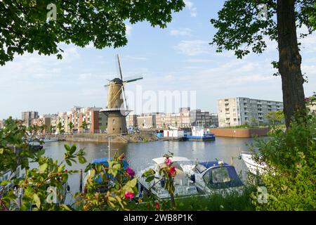 Rotterdam, Niederlande - 28. Mai 2017: Historische Windmühle in Schiedam, höchste Windmühle der Welt Stockfoto