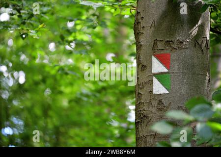 Farbenfrohe Touristenschilder mit Farbe auf die Bäume im Wald gemalt Stockfoto