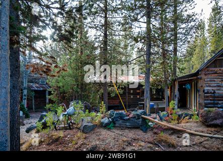 Eine rustikale Blockhütte im Wald. High Desert, Oregon, USA Stockfoto