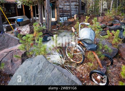 Ein altes Fahrrad im Hof einer rustikalen Blockhütte im Wald. High Desert, Oregon, USA Stockfoto