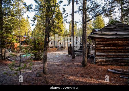 Eine rustikale Blockhütte im Wald. High Desert, Oregon, USA Stockfoto