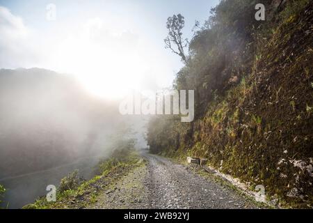 Berühmte Todesstraße, der „Camino de la Muerte“, in den bolivianischen Anden in der Nähe von La Paz Stockfoto