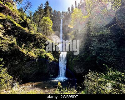 Ein malerischer Blick auf eine Waldlandschaft mit einem Wasserfall, einer Brücke über das Wasser und der Sonne, die durch das Laub hinuntergeht Stockfoto
