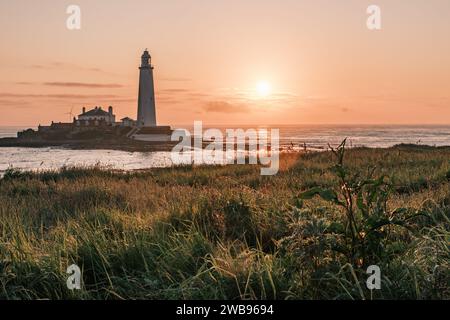 Niedrigwinkelaufnahme des St. Marys Lighthouse Tyne und bei Sonnenaufgang. Wildes Gras frittiert den Vordergrund Stockfoto