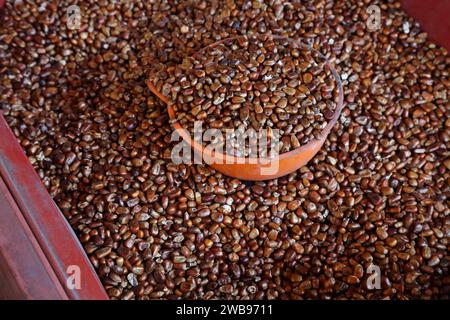 Koreanisches Essen auf dem Nambu Market in Jeonju, Südkorea. Geröstete Maiskerne für Oksusu-Cha Maistee. Stockfoto