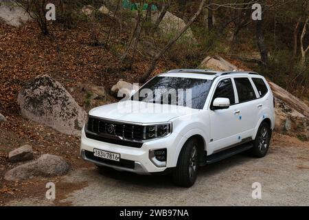 BUSAN, SÜDKOREA - 30. MÄRZ 2023: Kia Mohave White SUV parkt im Naturgebiet nahe Busan. Stockfoto